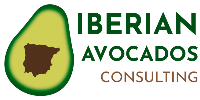 Asesoría de aguacate por Iberian Avocados