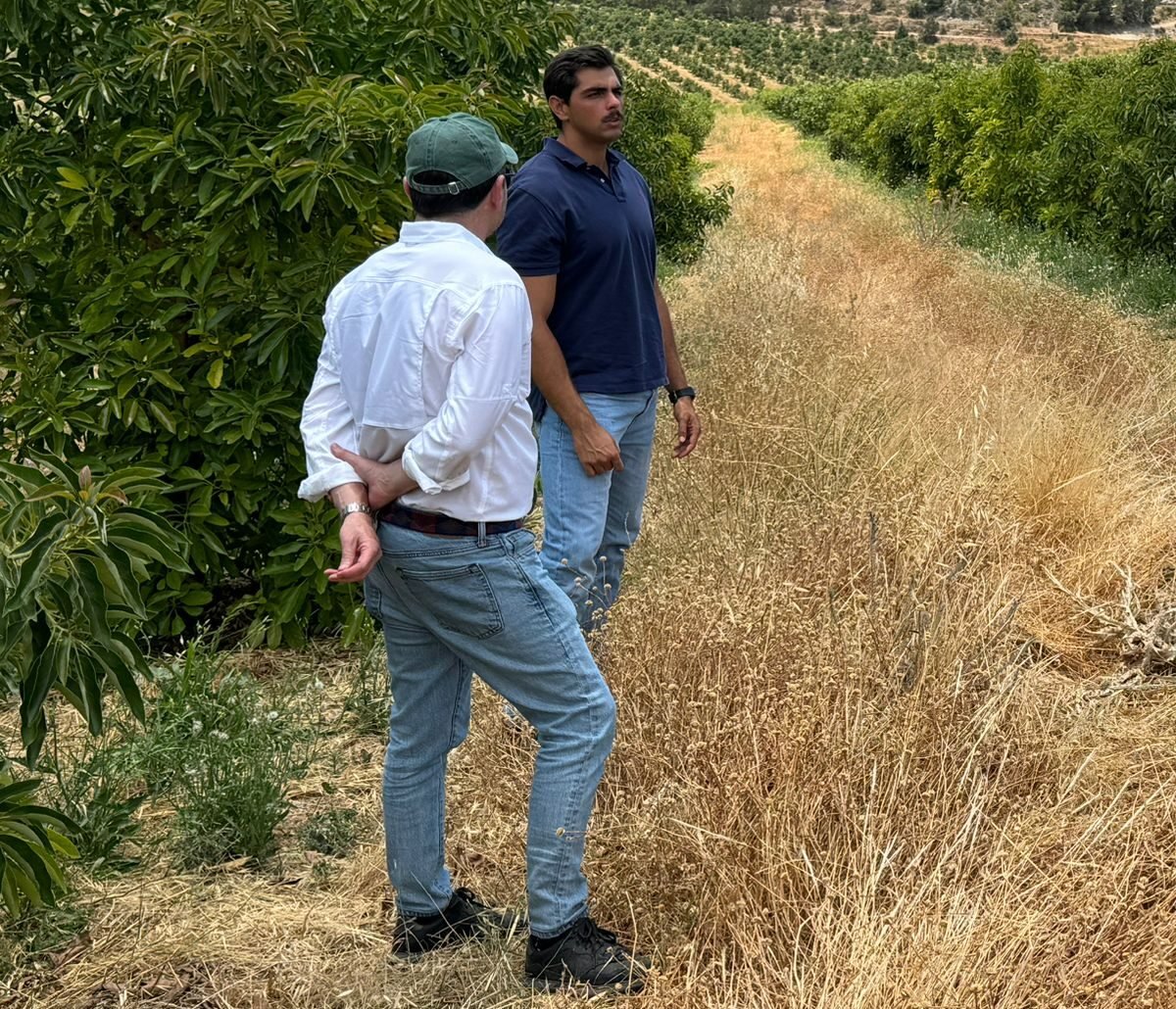 Visita a una finca de aguacates para asesoramiento en Andalucía