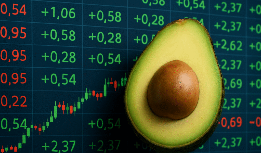 invertir en aguacate